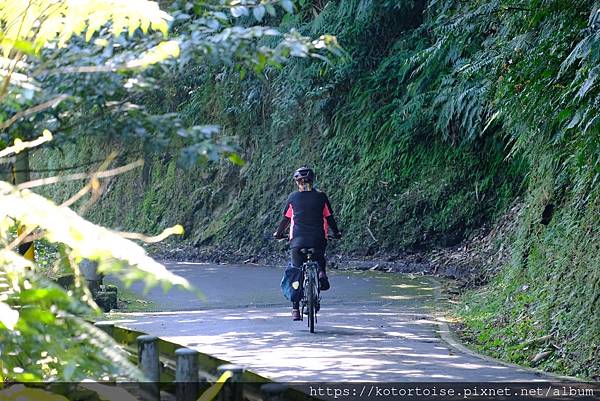 [台灣/新北] 2024.2 早晨的小粗坑步道