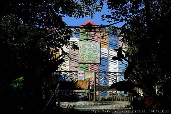 [台灣/新北] 2024.2 早晨的小粗坑步道