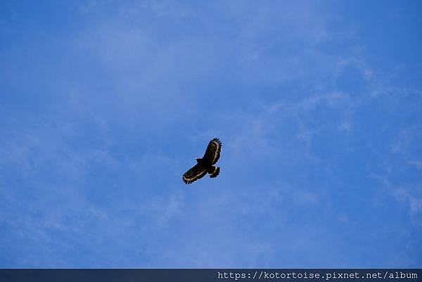 [台灣/新北] 2024.2 早晨的小粗坑步道