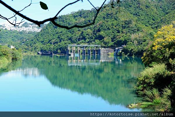 [台灣/新北] 2024.2 早晨的小粗坑步道
