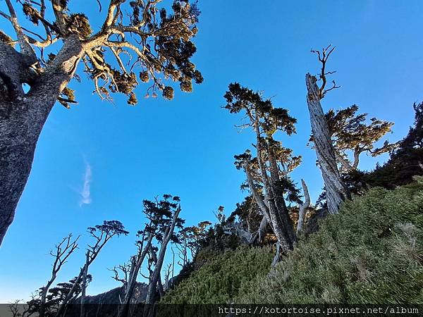 [台灣/屏東] 2024.2 南疆聖山北大武二天一夜