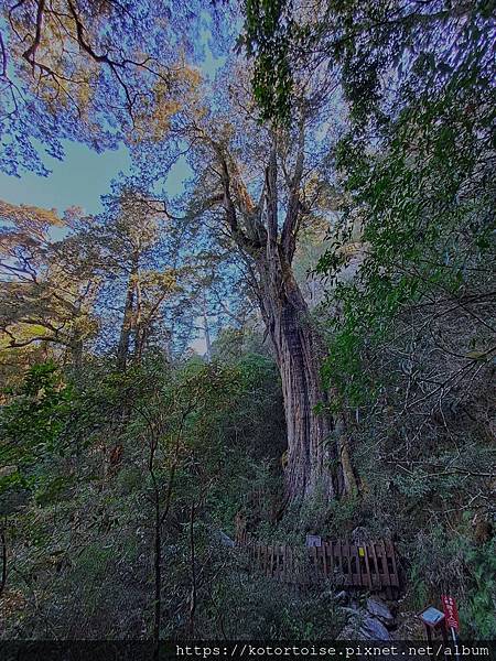 [台灣/屏東] 2024.2 南疆聖山北大武二天一夜