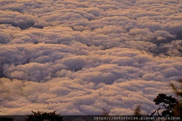 [台灣/屏東] 2024.2 南疆聖山北大武二天一夜