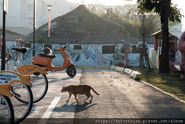 [台灣/屏東] 2024.2 順遊潮州萬巒