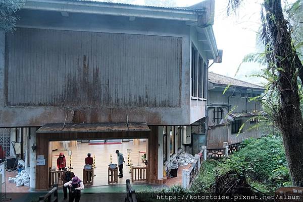 [台灣/新北] 2024.2 大年初二來溪頭走春