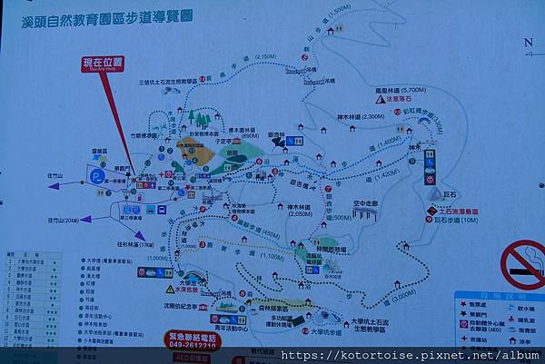 [台灣/新北] 2024.2 大年初二來溪頭走春