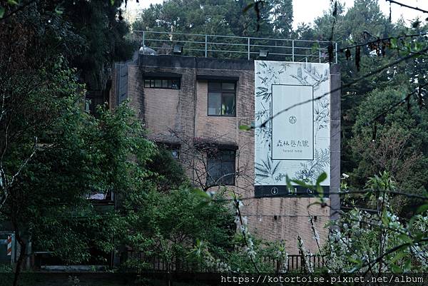 [台灣/新北] 2024.2 大年初二來溪頭走春