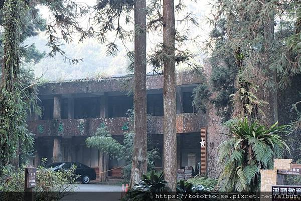 [台灣/新北] 2024.2 大年初二來溪頭走春