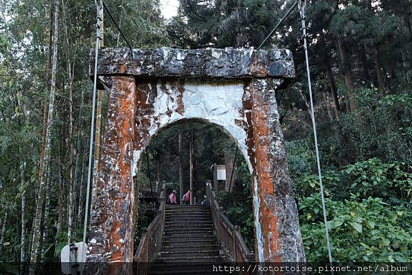 [台灣/新北] 2024.2 大年初二來溪頭走春