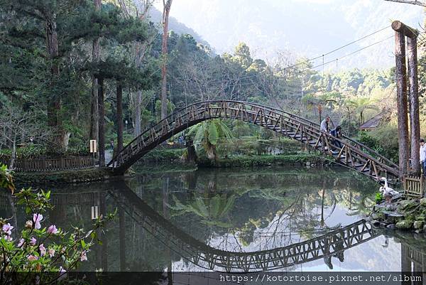[台灣/新北] 2024.2 大年初二來溪頭走春