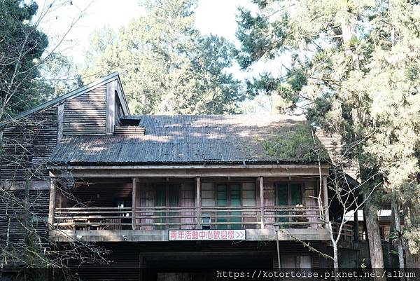 [台灣/新北] 2024.2 大年初二來溪頭走春