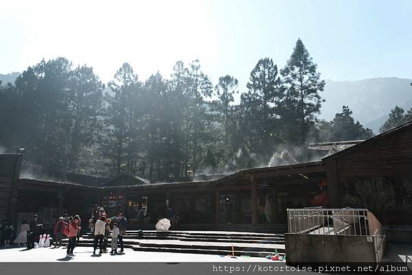 [台灣/新北] 2024.2 大年初二來溪頭走春