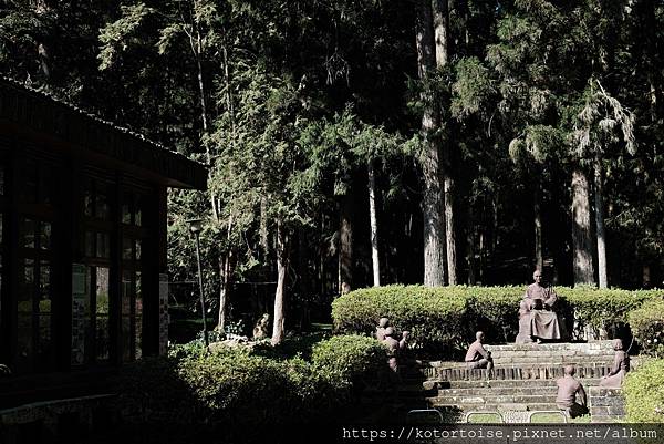 [台灣/新北] 2024.2 大年初二來溪頭走春