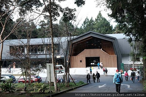 [台灣/新北] 2024.2 大年初二來溪頭走春