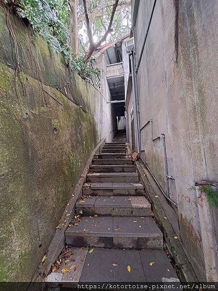 [台灣/新北] 2024.3 小健行: 碧潭獅潭山和美山碧潭