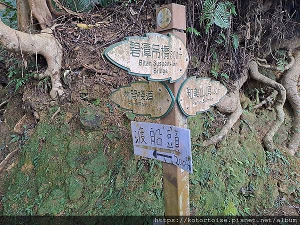 [台灣/新北] 2024.3 小健行: 碧潭獅潭山和美山碧潭