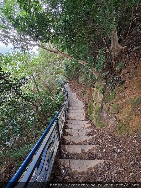 [台灣/新北] 2024.3 小健行: 碧潭獅潭山和美山碧潭