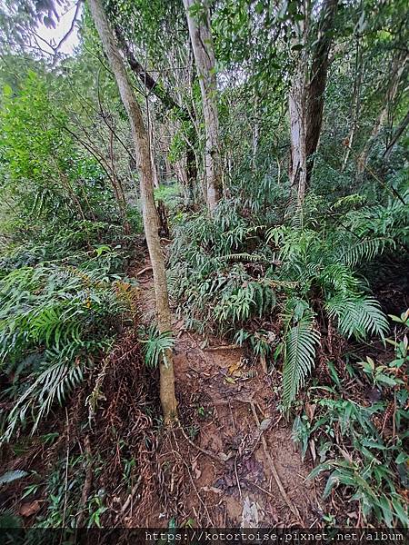 [台灣/新北] 2024.3 小健行: 碧潭獅潭山和美山碧潭