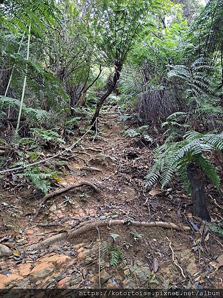 [台灣/新北] 2024.3 小健行: 碧潭獅潭山和美山碧潭