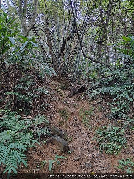 [台灣/新北] 2024.3 小健行: 碧潭獅潭山和美山碧潭