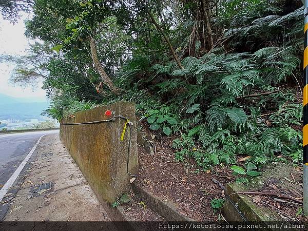 [台灣/新北] 2024.3 小健行: 碧潭獅潭山和美山碧潭