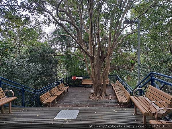 [台灣/新北] 2024.3 小健行: 碧潭獅潭山和美山碧潭