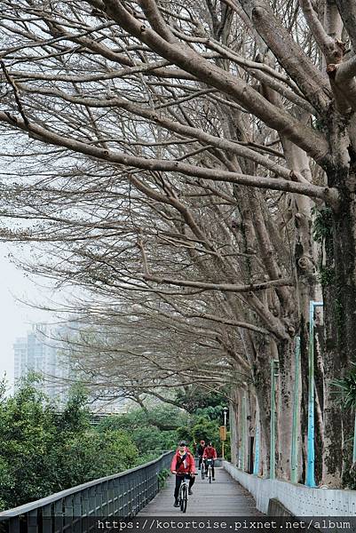 [台灣/新北] 2024.3 小健行: 碧潭獅潭山和美山碧潭