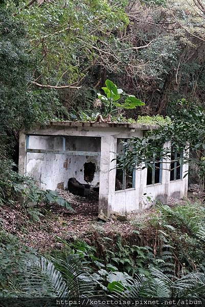 [台灣/新北] 2024.3 小健行: 碧潭獅潭山和美山碧潭