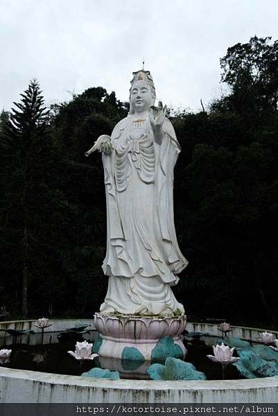 [台灣/新北] 2024.3 小健行: 碧潭獅潭山和美山碧潭