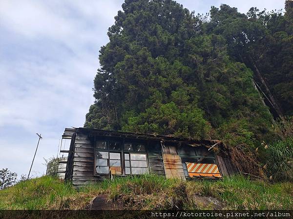 [台灣/南投] 2024.3 坐車比爬山累: 參訪郡大山