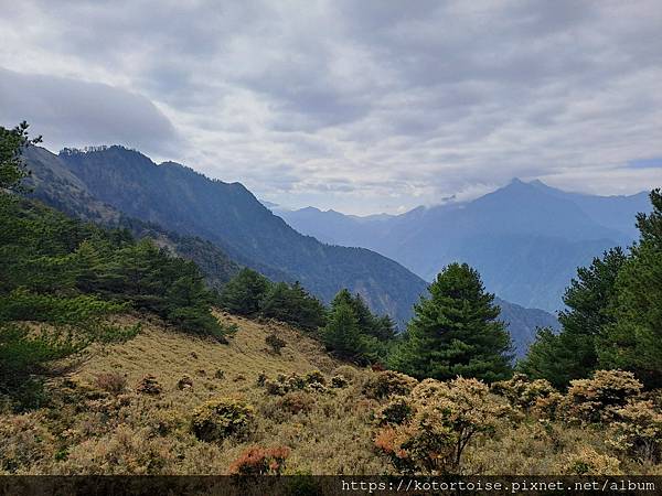 [台灣/南投] 2024.3 坐車比爬山累: 參訪郡大山