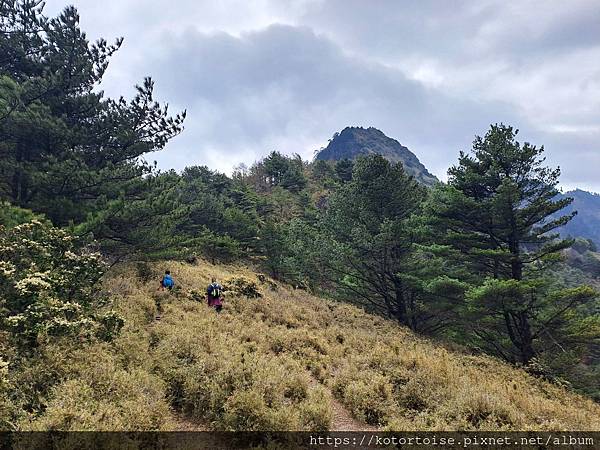 [台灣/南投] 2024.3 坐車比爬山累: 參訪郡大山