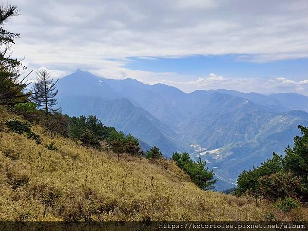 [台灣/南投] 2024.3 坐車比爬山累: 參訪郡大山