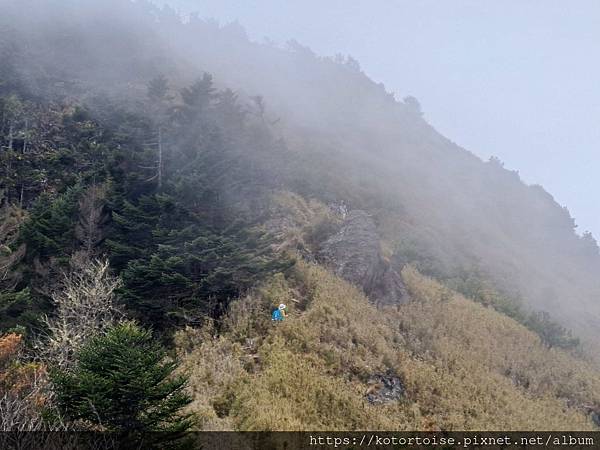 [台灣/南投] 2024.3 坐車比爬山累: 參訪郡大山
