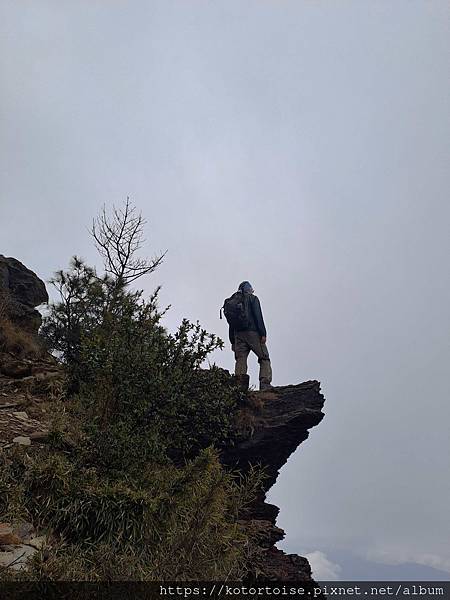 [台灣/南投] 2024.3 坐車比爬山累: 參訪郡大山