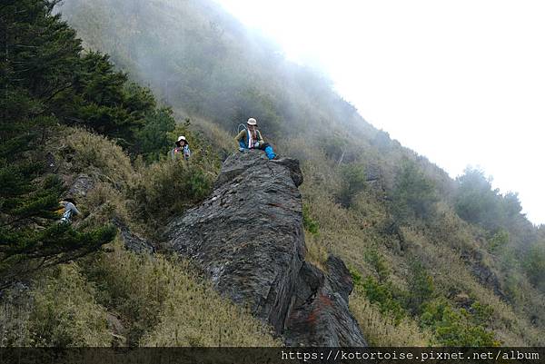 [台灣/南投] 2024.3 坐車比爬山累: 參訪郡大山