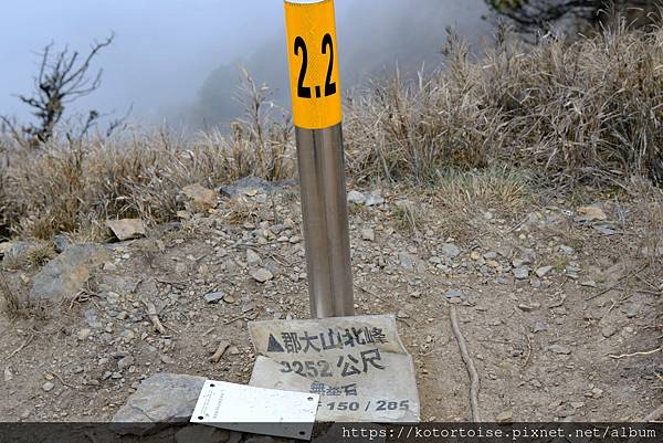 [台灣/南投] 2024.3 坐車比爬山累: 參訪郡大山