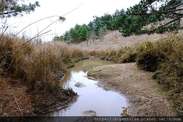 [台灣/南投] 2024.3 坐車比爬山累: 參訪郡大山