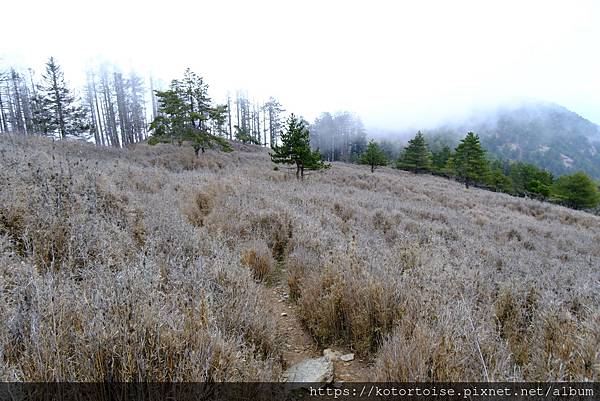 [台灣/南投] 2024.3 坐車比爬山累: 參訪郡大山