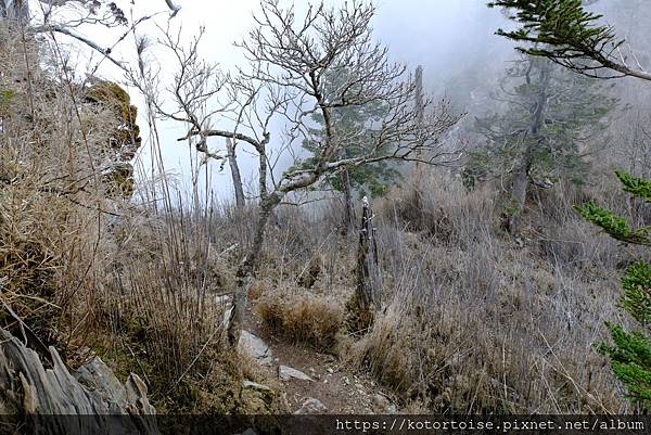 [台灣/南投] 2024.3 坐車比爬山累: 參訪郡大山