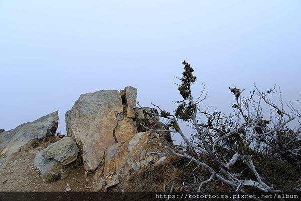 [台灣/南投] 2024.3 坐車比爬山累: 參訪郡大山