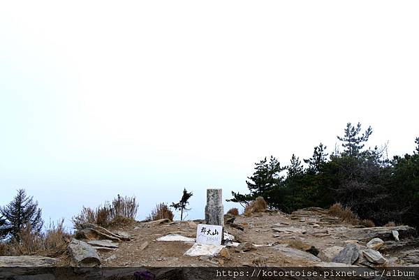 [台灣/南投] 2024.3 坐車比爬山累: 參訪郡大山