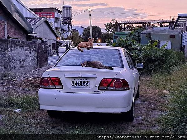 [台灣/台東] 2024.4 台東美食吃不停