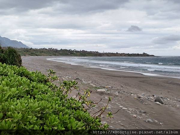 [台灣/台東] 2024.4 都蘭小日子