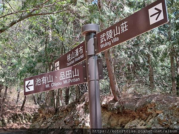 [台灣/台中] 2024.4 武陵二秀品田池有 兩天一夜 (