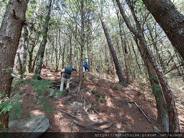 [台灣/台中] 2024.4 武陵二秀品田池有 兩天一夜 (