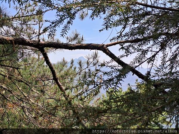 [台灣/台中] 2024.4 武陵二秀品田池有 兩天一夜 (