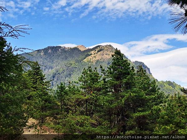 [台灣/台中] 2024.4 武陵二秀品田池有 兩天一夜 (