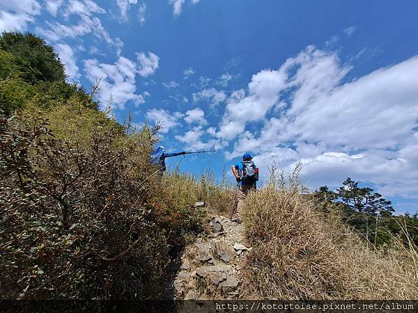 [台灣/台中] 2024.4 武陵二秀品田池有 兩天一夜 (
