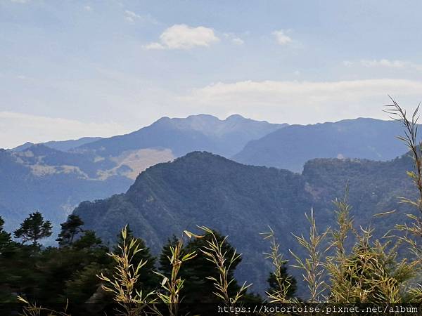 [台灣/台中] 2024.4 武陵二秀品田池有 兩天一夜 (